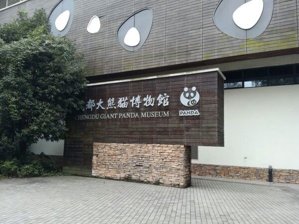 11大熊猫博物馆排危修缮项目.jpg